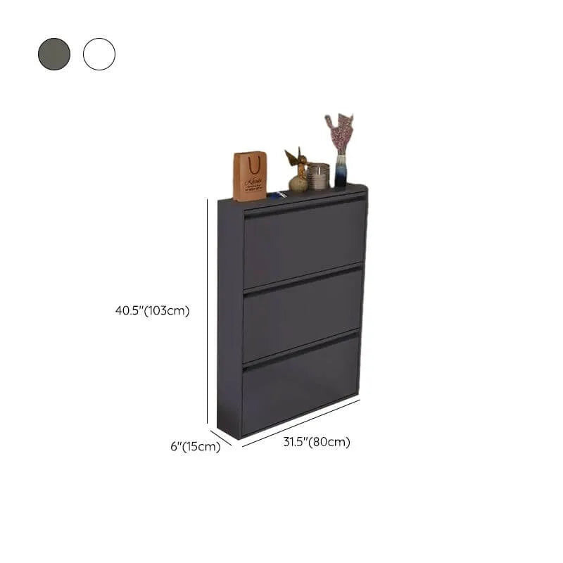 Modern Metal Wall-Mounted Shoe Cabinet with Adjustable Shelves Dimensions