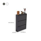 Modern Metal Wall-Mounted Shoe Cabinet with Adjustable Shelves Dimensions