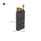 Modern Metal Wall-Mounted Shoe Cabinet with Adjustable Shelves Dimensions