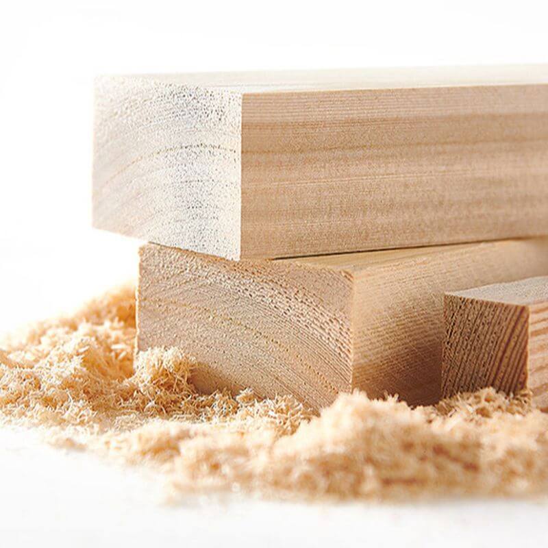 Modern Upholstered Kids Bed with Cute Rabbit Ears Design