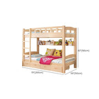 Modern Wood Bunk Bed with Ladder and Storage for Kids Dimensions
