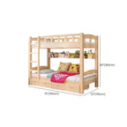 Modern Wood Bunk Bed with Ladder and Storage for Kids Dimensions