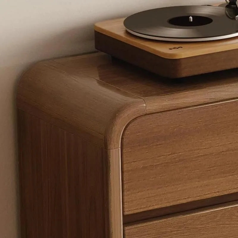 Modern Wood Shoe Cabinet with Drawers & Adjustable Shelves