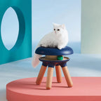 Multifunctional Pet-Friendly Accent Chair Stool With Orbital Cat Play Ring