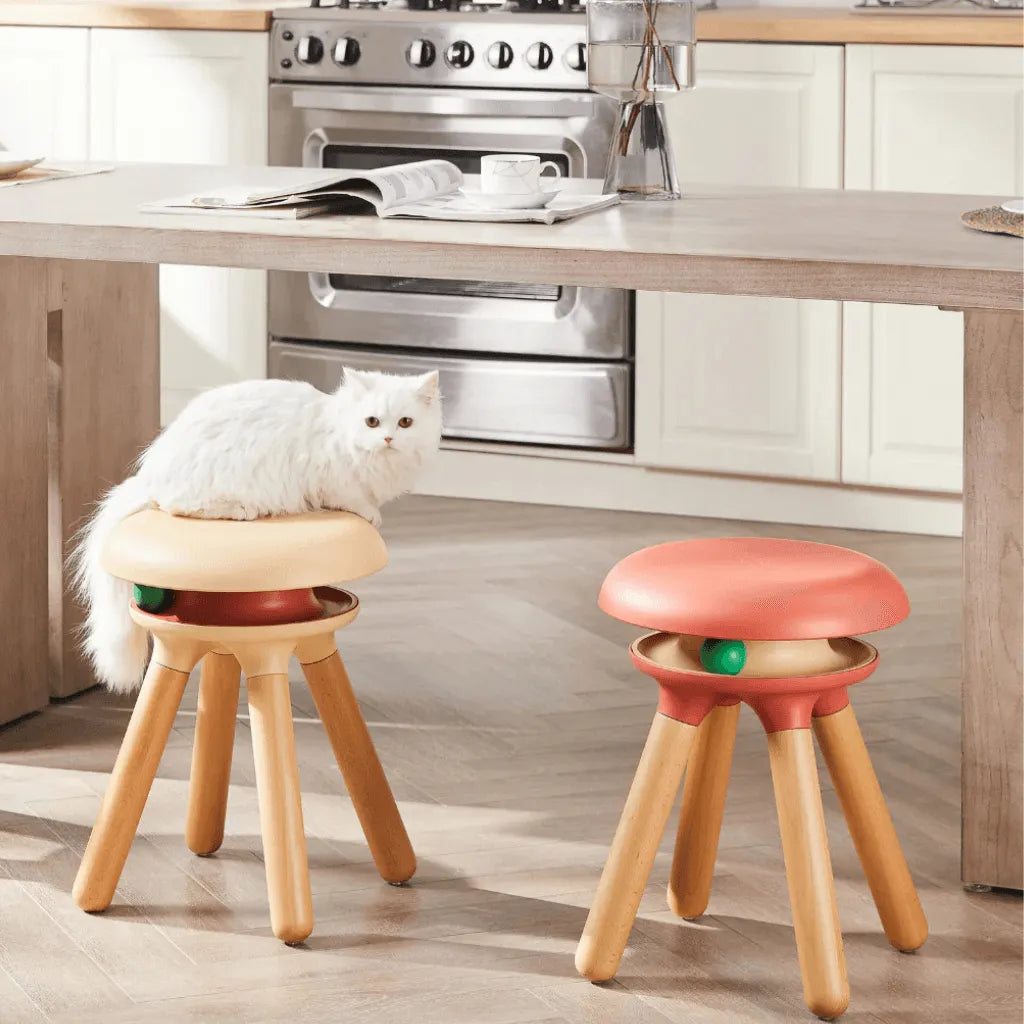 Multifunctional Pet-Friendly Accent Chair Stool With Orbital Cat Play Ring Secondary image
