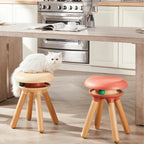 Multifunctional Pet-Friendly Accent Chair Stool With Orbital Cat Play Ring