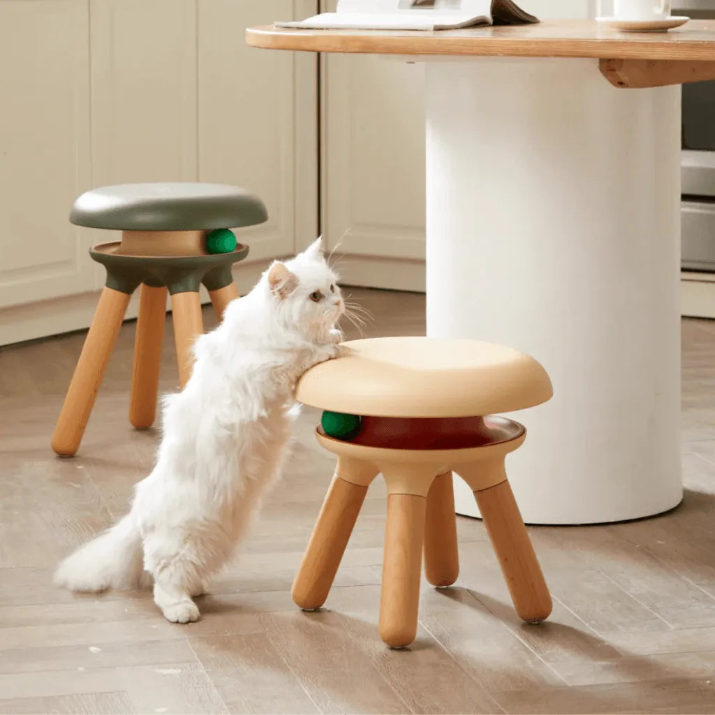 Multifunctional Pet-Friendly Accent Chair Stool With Orbital Cat Play Ring Main Product Image