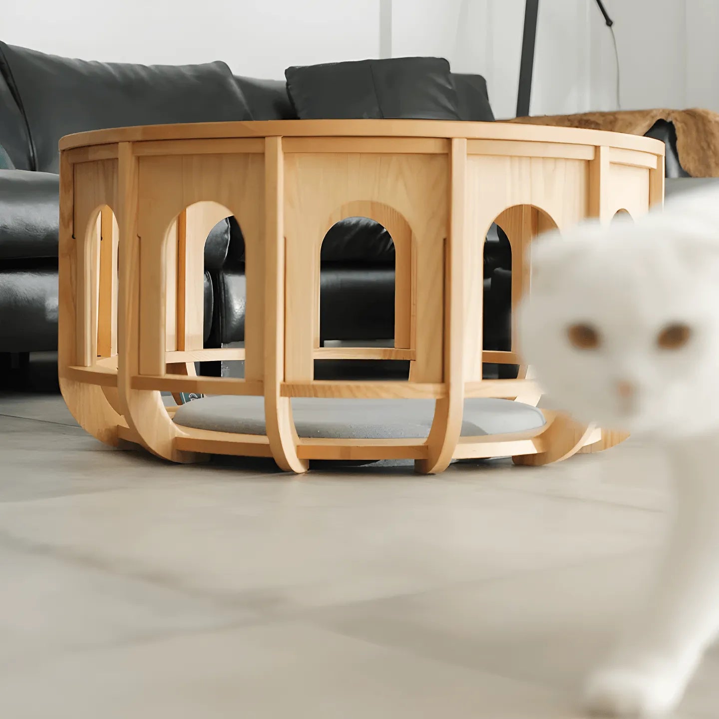 Multifunctional Pet-Friendly Coffee Table with Arched Oak Frame and Glass Top