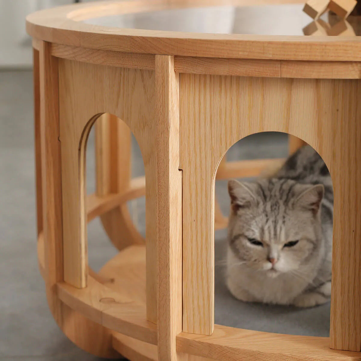 Multifunctional Pet-Friendly Coffee Table with Arched Oak Frame and Glass Top
