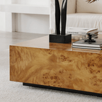Natural Burlwood Cube Coffee Table with Floating Silhouette