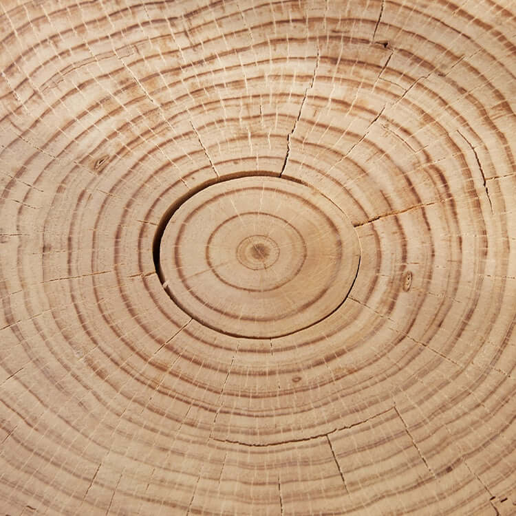 Natural Wood Coffee Table with Unique Petal Design