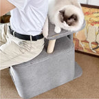 Scandinavian Cat Cave Lounge Chair With Scratcher and Wood Frame