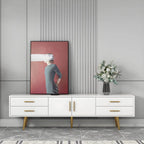 Scandinavian Matte TV Stand with Drawers in Multiple Finishes