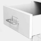 Scandinavian Metal Filing Cabinet With Drawers and Rolling Storage