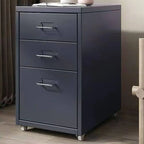Scandinavian Metal Filing Cabinet With Drawers and Rolling Storage