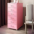Scandinavian Metal Filing Cabinet With Drawers and Rolling Storage
