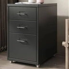 Scandinavian Metal Filing Cabinet With Drawers and Rolling Storage