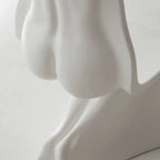 Sculptural Her Chair Dining Chair Series in Glossy Curved Silhouettes