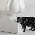 Sculptural Her Chair Dining Chair Series in Glossy Curved Silhouettes