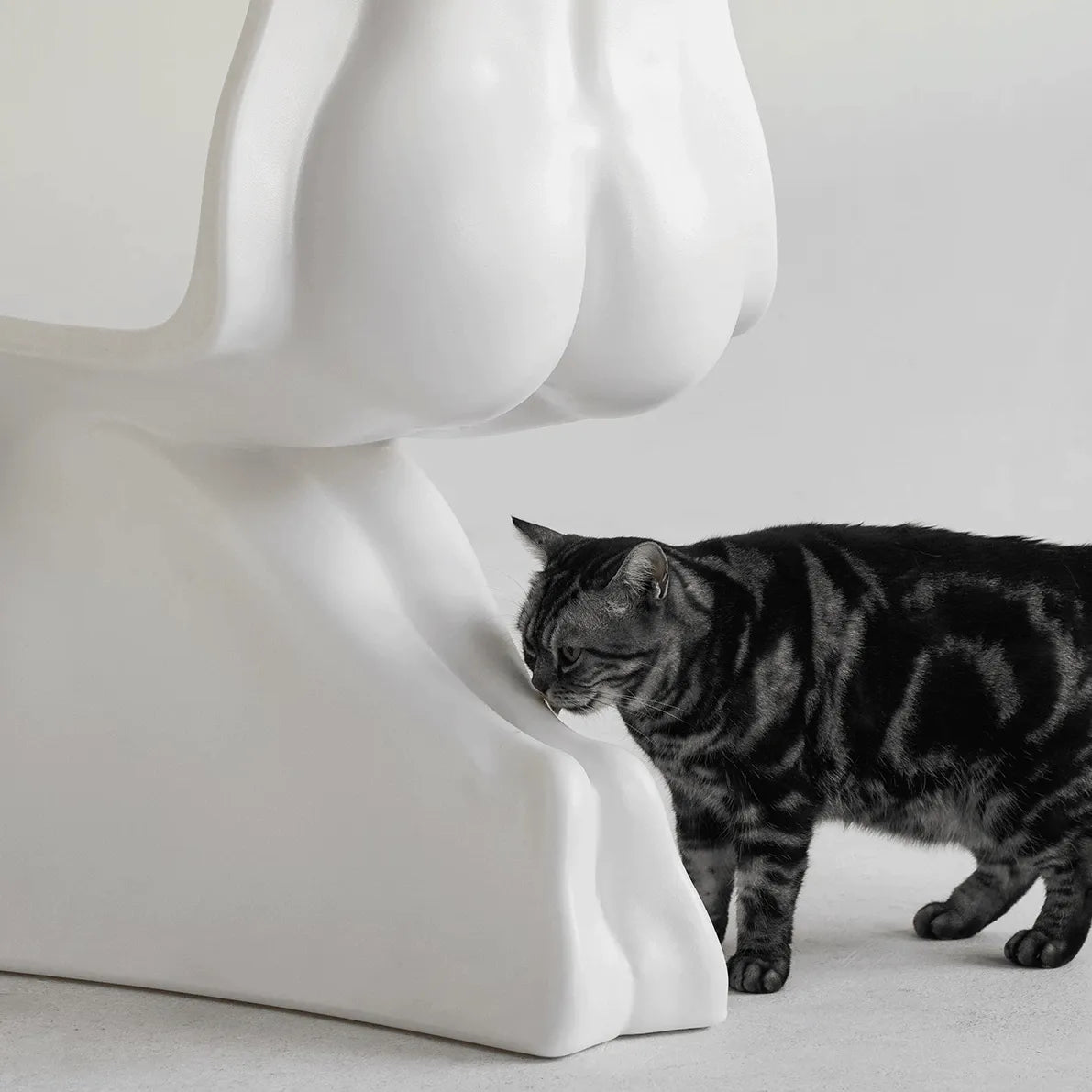 Sculptural Her Chair Dining Chair Series in Glossy Curved Silhouettes