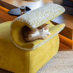 Sculptural Multifunctional Pet-Friendly Accent Chair with Arched Cat Nook