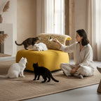 Sculptural Multifunctional Pet-Friendly Accent Chair with Arched Cat Nook
