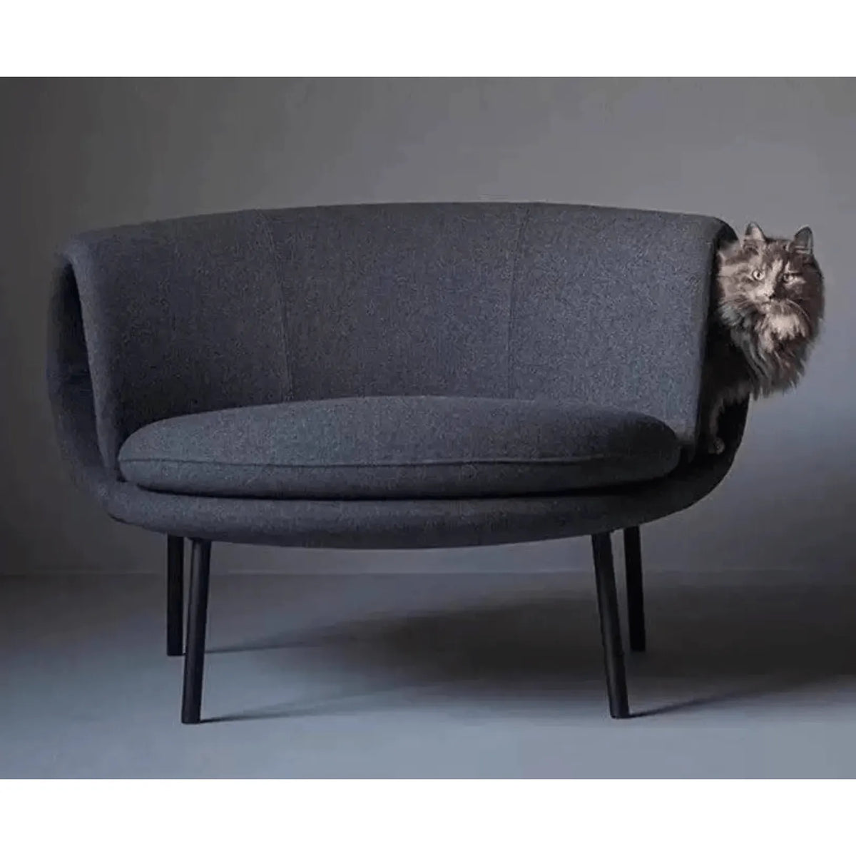 Sculptural Multifunctional Pet-Friendly Accent Chair with Curved Cocoon Form