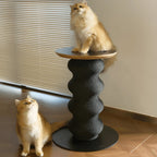 Sculptural Multifunctional Pet-Friendly Side Table With Cat Scratcher