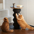 Sculptural Multifunctional Pet-Friendly Side Table With Cat Scratcher Main Product Image