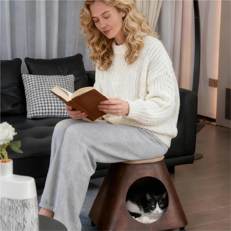 Sculptural Rolling Cat Cube Bed With Padded Top And Cozy Hideaway