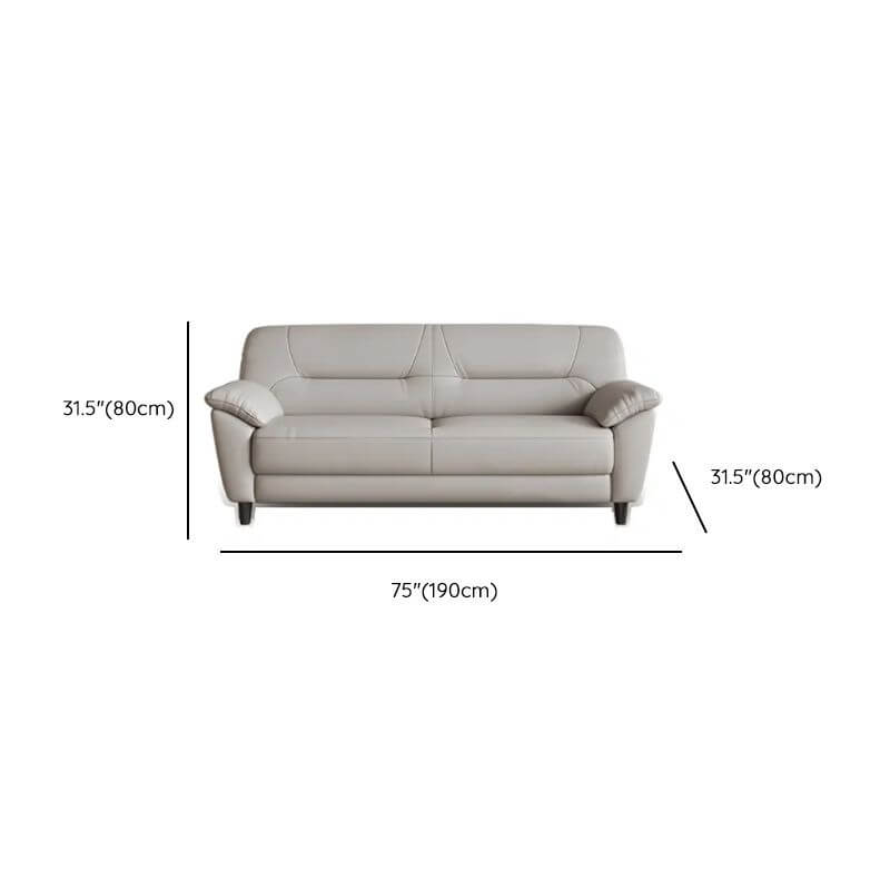 Sleek design sofa in cozy space