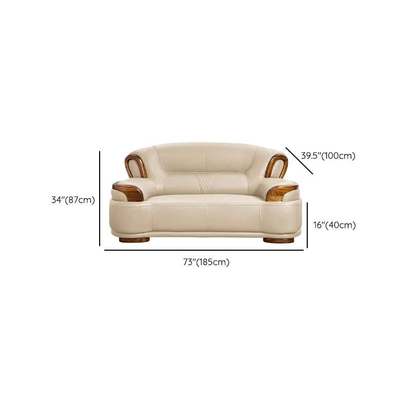 Trendy solid color sofa in modern living room