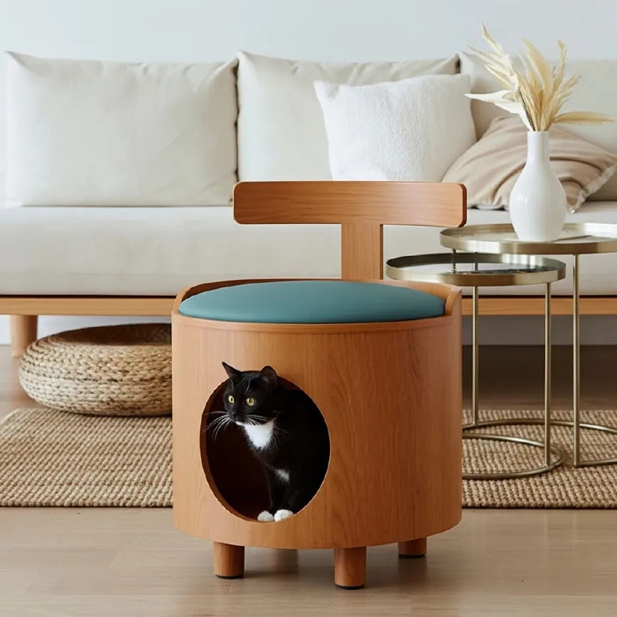 Solid Wood Cat Bed Stool With Curved Backrest and Teal Cushion