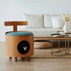 Solid Wood Cat Bed Stool With Curved Backrest and Teal Cushion