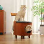 Solid Wood Cat Bed Stool With Curved Backrest and Teal Cushion