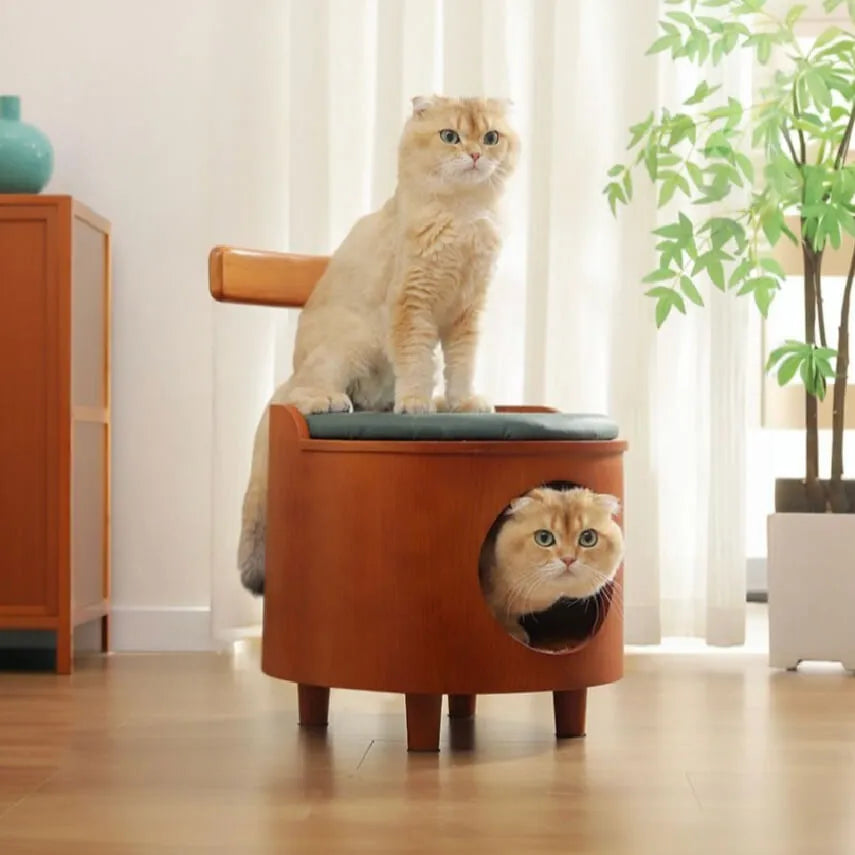 Solid Wood Cat Bed Stool With Curved Backrest and Teal Cushion