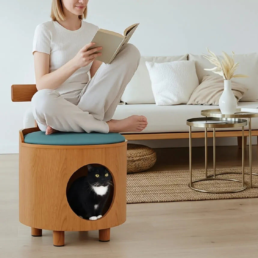 Solid Wood Cat Bed Stool With Curved Backrest and Teal Cushion Main Product Image