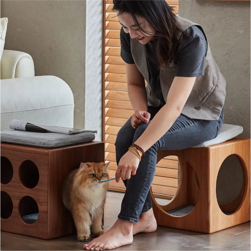 Solid Wood Cat Cube Stool and Side Table for Japandi Living Main Product Image メイン画像
