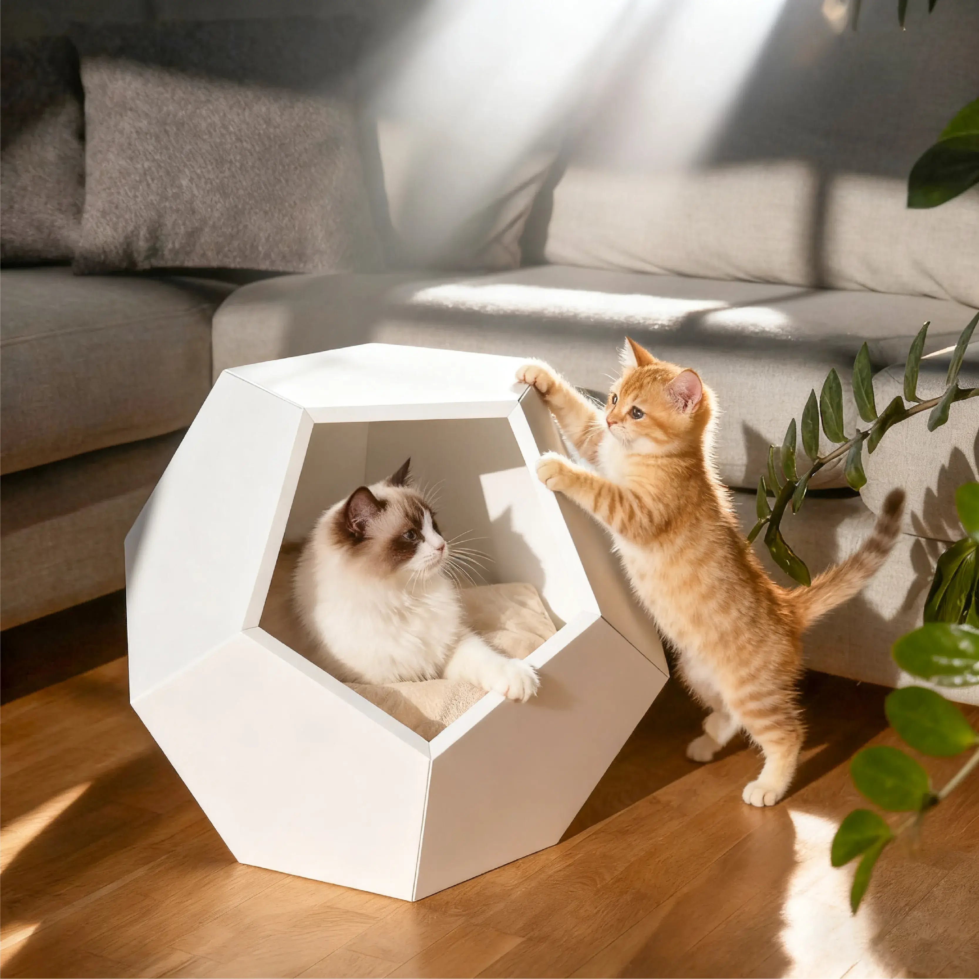 Solid Wood Geometric Cat House Side Table for Cozy Modern Homes