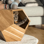 Solid Wood Geometric Cat House Side Table for Cozy Modern Homes