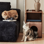 Solid Wood Modular Cat Cube Stool in Japandi Minimalist Style