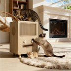 Solid Wood Two-Tier Cat House Side Table With Scratcher Detail
