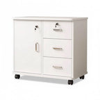 Woodgrain Locking Filing Cabinet With Door, Drawers And Casters