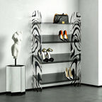 Zebra Print Acrylic Shoe Display Shelf, Slim 4 Tier Entryway Storage
