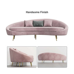 Stylish pink velvet sofa with curved design, gold metal base, and included toss pillow, 63 inch length