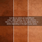 Trendy pink velvet upholstered loveseat with metallic gold base