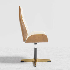 Ergonomic high back chair for modern home office