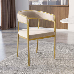 Stylish Gray Arm Chair with Plush Velvet Upholstery and Shiny Gold Legs for Modern Interior Design