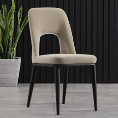 2-piece set of carbon steel dining chairs in black, modern and stylish