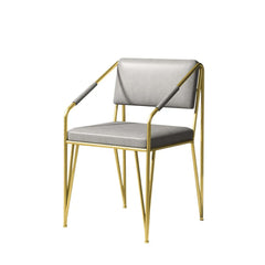Fashionable PU Leather Leisure Chair with Gold Metal Legs for Elegant Vanity